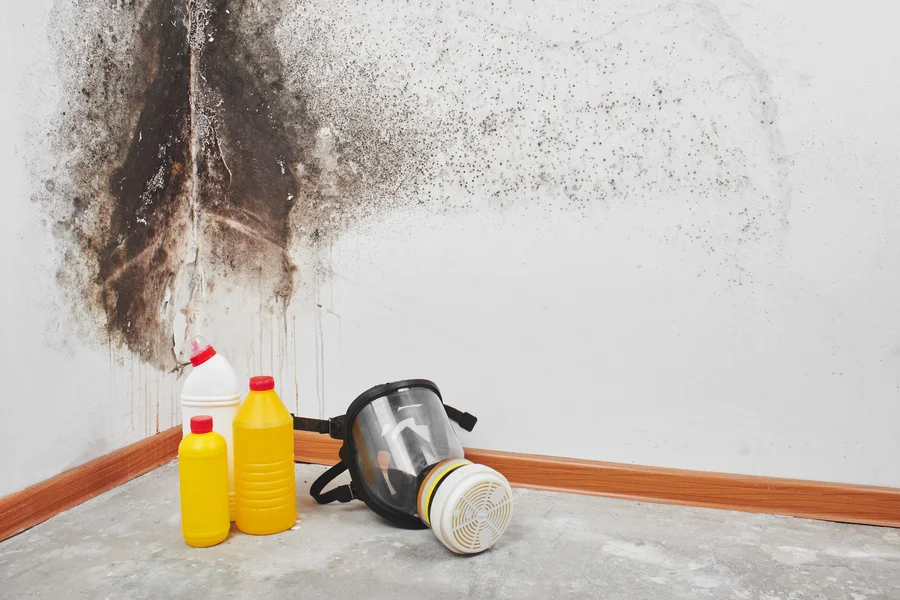 How Mold Impacts Health After Water Damage Rosedale, MD