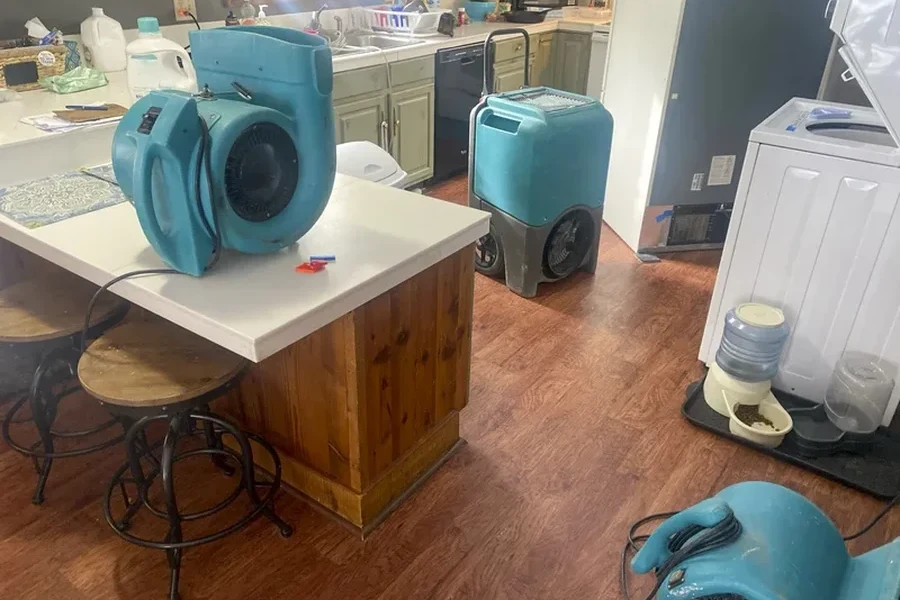 Local Water Damage Repair Rosedale, MD
