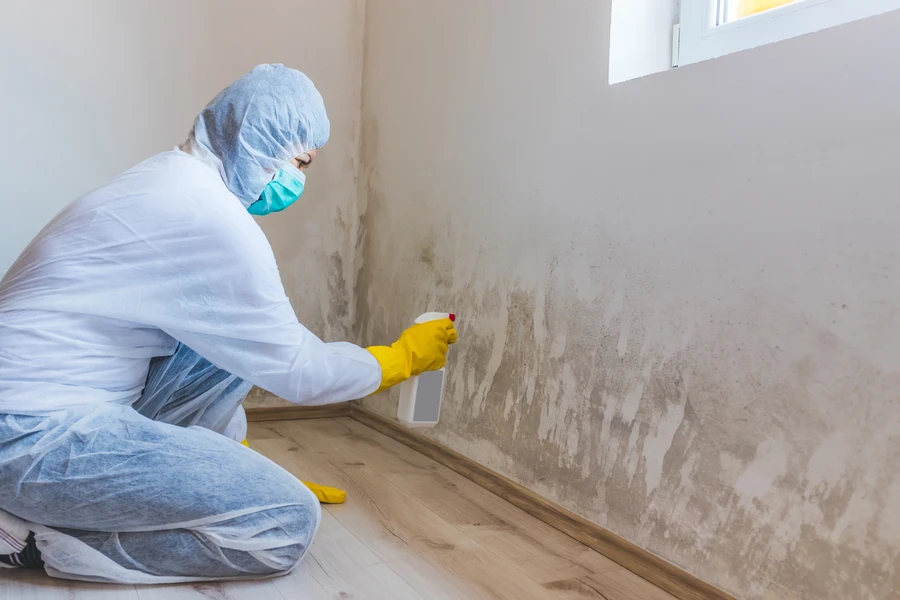 Reputable Mold Remediation Rosedale, MD